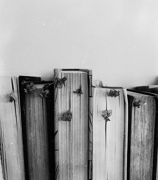 Punjabi Novels